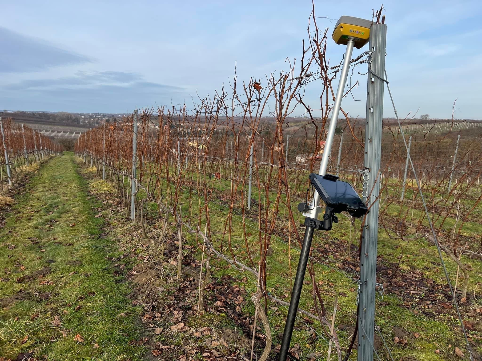 Pomiar geodezyjny w winnicy w Koprzywnicy; widoczny precyzyjny odbiornik GNSS na tyczce geodezyjnej, tło stanowią rzędy winorośli bez liści i odległy krajobraz.