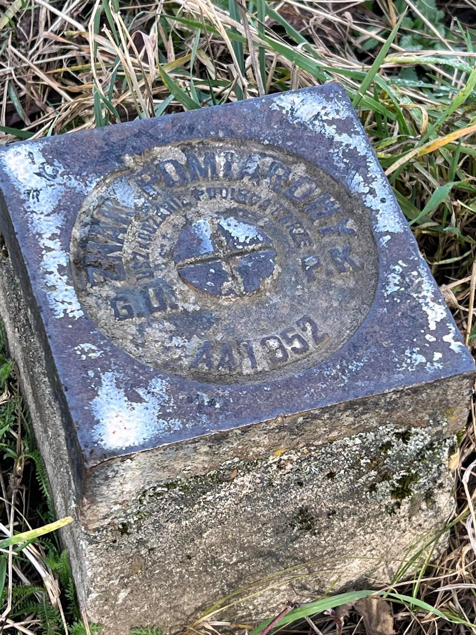 Betonowy reper geodezyjny z metalową płytką informacyjną, porośnięty mchem i otoczony trawą.