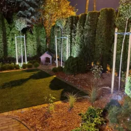 Oświetlony ogród nocą w Gdańsku Osowie, z trawnikiem, tujami, podświetlonymi drzewkami podpartymi drewnianymi stelażami i budą dla psa w tle.