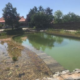 Green Garden Usługi Brukarskie Monika Wagner - Oczko wodne z płytkim brzegiem wyłożonym kamieniami i roślinnością, w tle dom z czerwoną dachówką i drzewa.