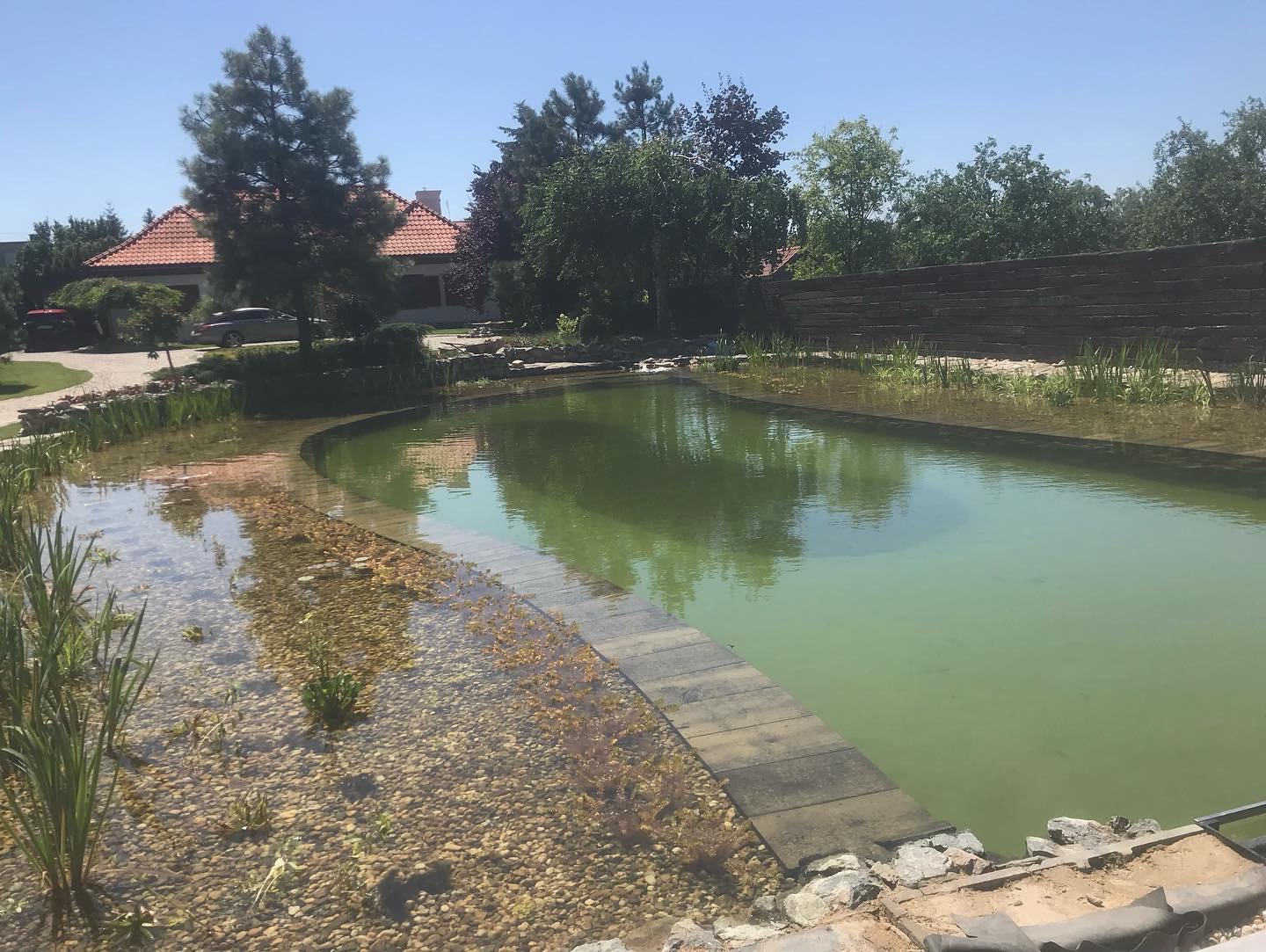 Oczko wodne z płytkim brzegiem wyłożonym kamieniami i roślinnością, w tle dom z czerwoną dachówką i drzewa.