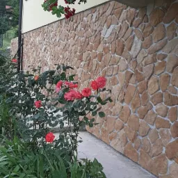 Elewacja budynku wykończona kamieniem dekoracyjnym, z kwiatami w doniczce wiszącej pod balkonem i różami rosnącymi wzdłuż ścieżki.