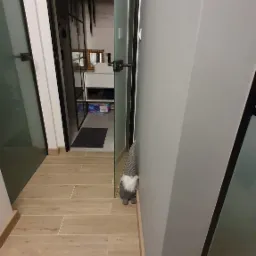 Korytarz z płytkami imitującymi drewno, szarą ścianą i szklanymi drzwiami, z widoczną dekoracją w postaci krasnala przy ścianie.