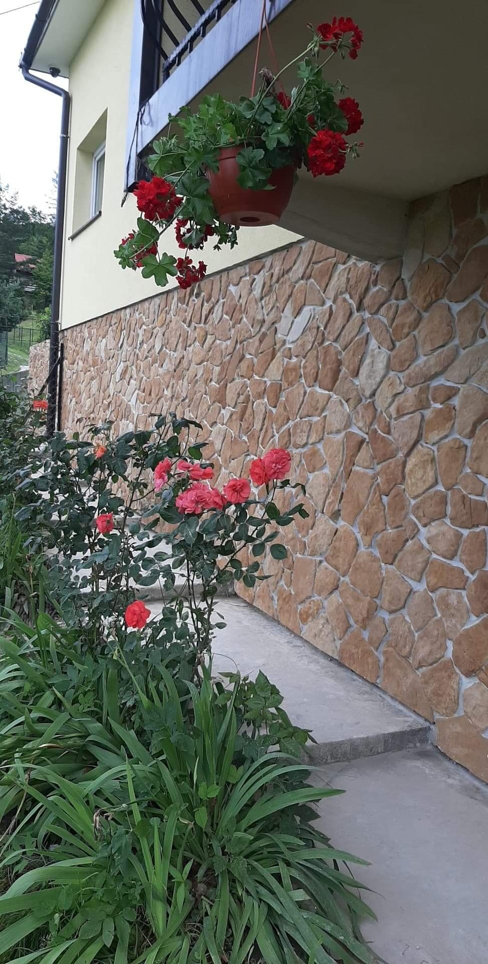 Elewacja budynku wykończona kamieniem dekoracyjnym, z kwiatami w doniczce wiszącej pod balkonem i różami rosnącymi wzdłuż ścieżki.
