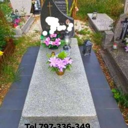 Wycinka drzew Szczecin 1