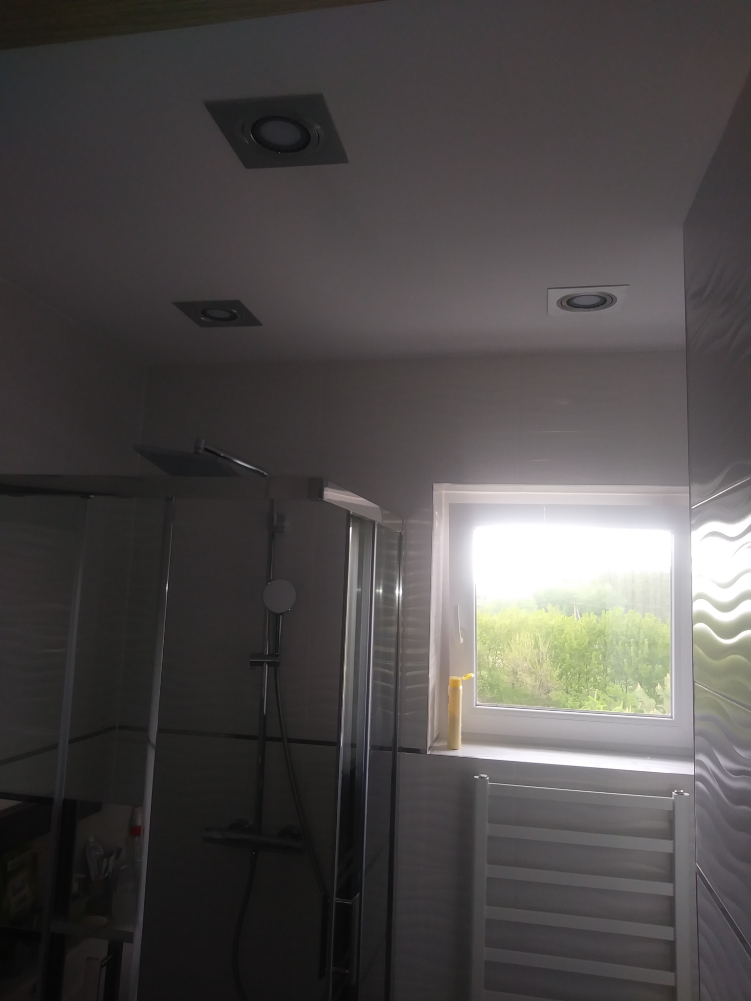 Nowoczesna łazienka z kabiną prysznicową typu walk-in, oświetleniem sufitowym i grzejnikiem drabinkowym pod oknem z widokiem na zieleń.