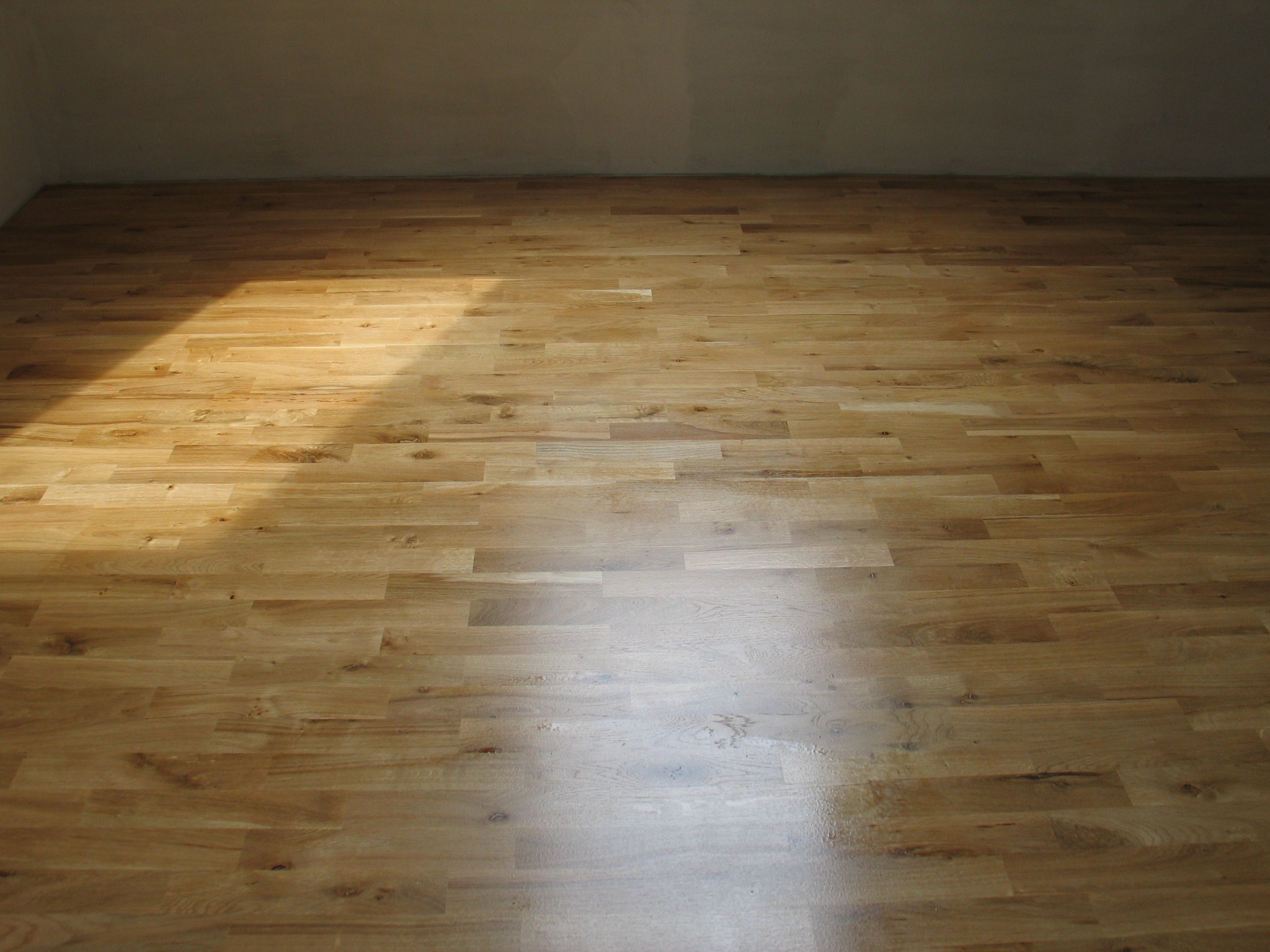 Jasny parkiet dębowy w nowym pomieszczeniu, oświetlony naturalnym światłem słonecznym wpadającym przez okno, widoczne delikatne słoje drewna.