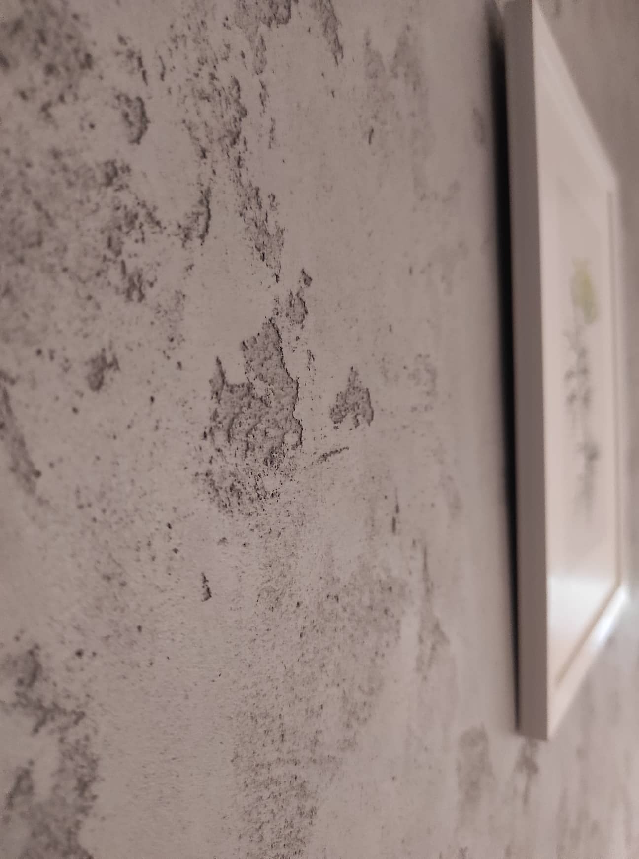 Niedoskonałości na szpachlowanej ścianie z widocznymi ubytkami i fakturą, obok wisi obraz w białej ramie.