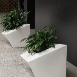 ZIELONY SERWIS FHU Monika Ścigała - Dwie nowoczesne, białe donice o geometrycznym kształcie, zawierające zielone rośliny, umieszczone wewnątrz budynku na szarym podłożu.