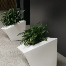 Dwie nowoczesne, białe donice o geometrycznym kształcie, zawierające zielone rośliny, umieszczone wewnątrz budynku na szarym podłożu.