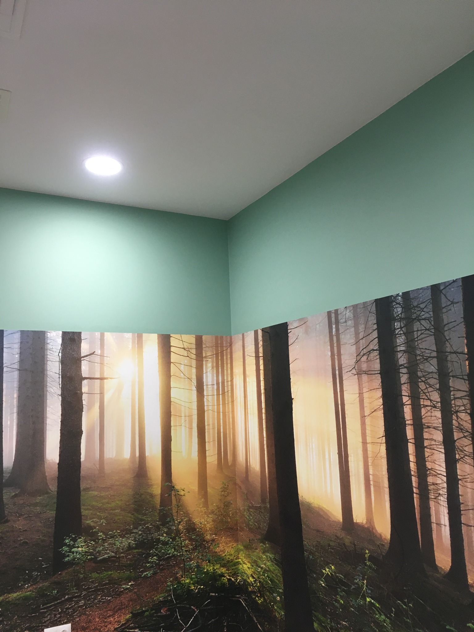 Świeżo pomalowane ściany w biurze na kolor miętowy, z fototapetą przedstawiającą leśny krajobraz z promieniami słońca.
