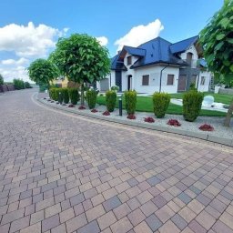 PRAMIX Mariusz Połeć - Ułożona z kostki brukowej droga dojazdowa do domu z zadbanym ogrodem, ozdobne drzewa i krzewy wzdłuż ścieżki, biały dom z ciemnym dachem w tle.