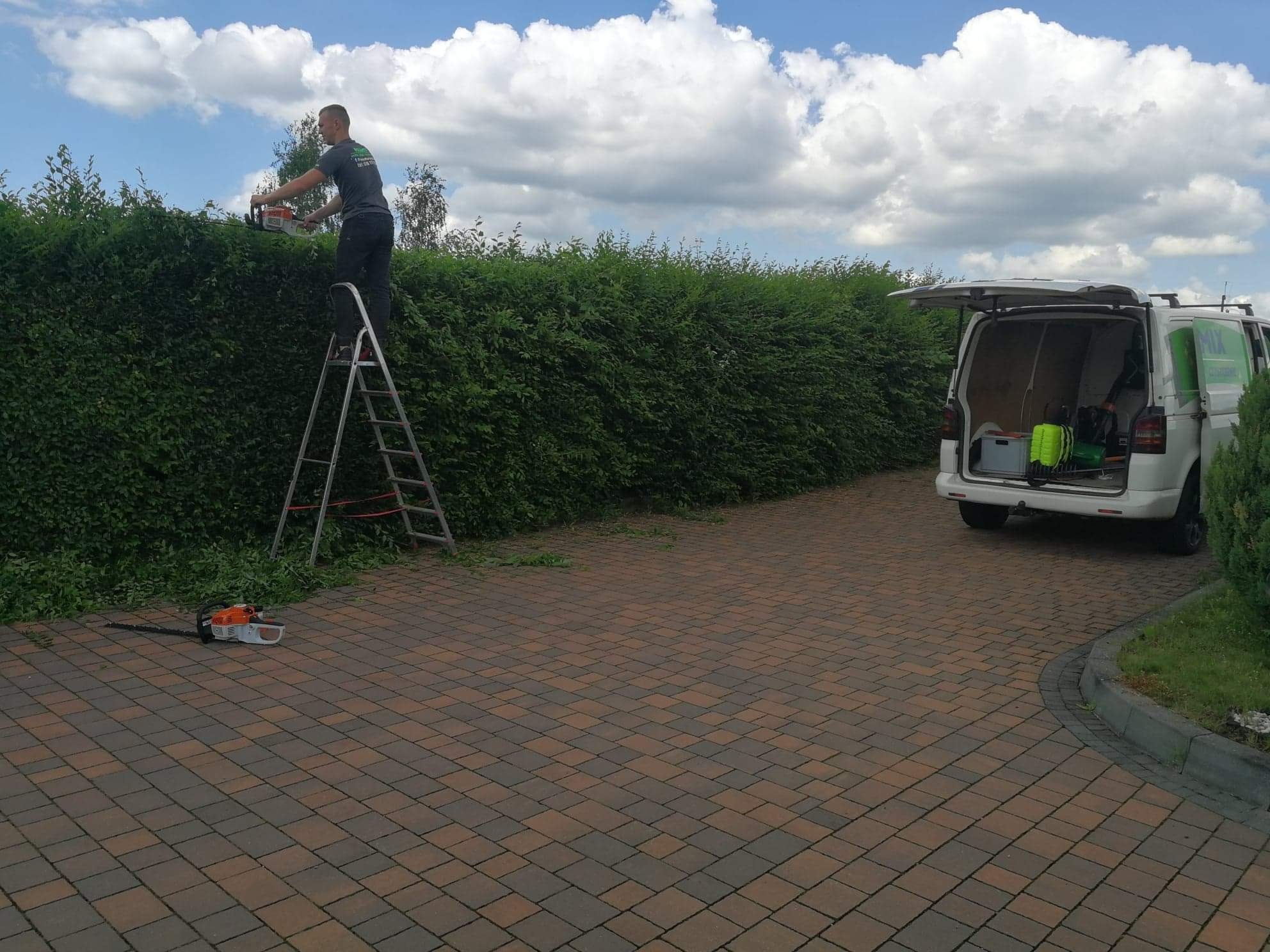 Mężczyzna na drabinie przycina żywopłot nożycami spalinowymi; na brukowanym podjeździe leżą obcięte gałęzie i drugie nożyce, a w tle stoi otwarty samochód dostawczy.