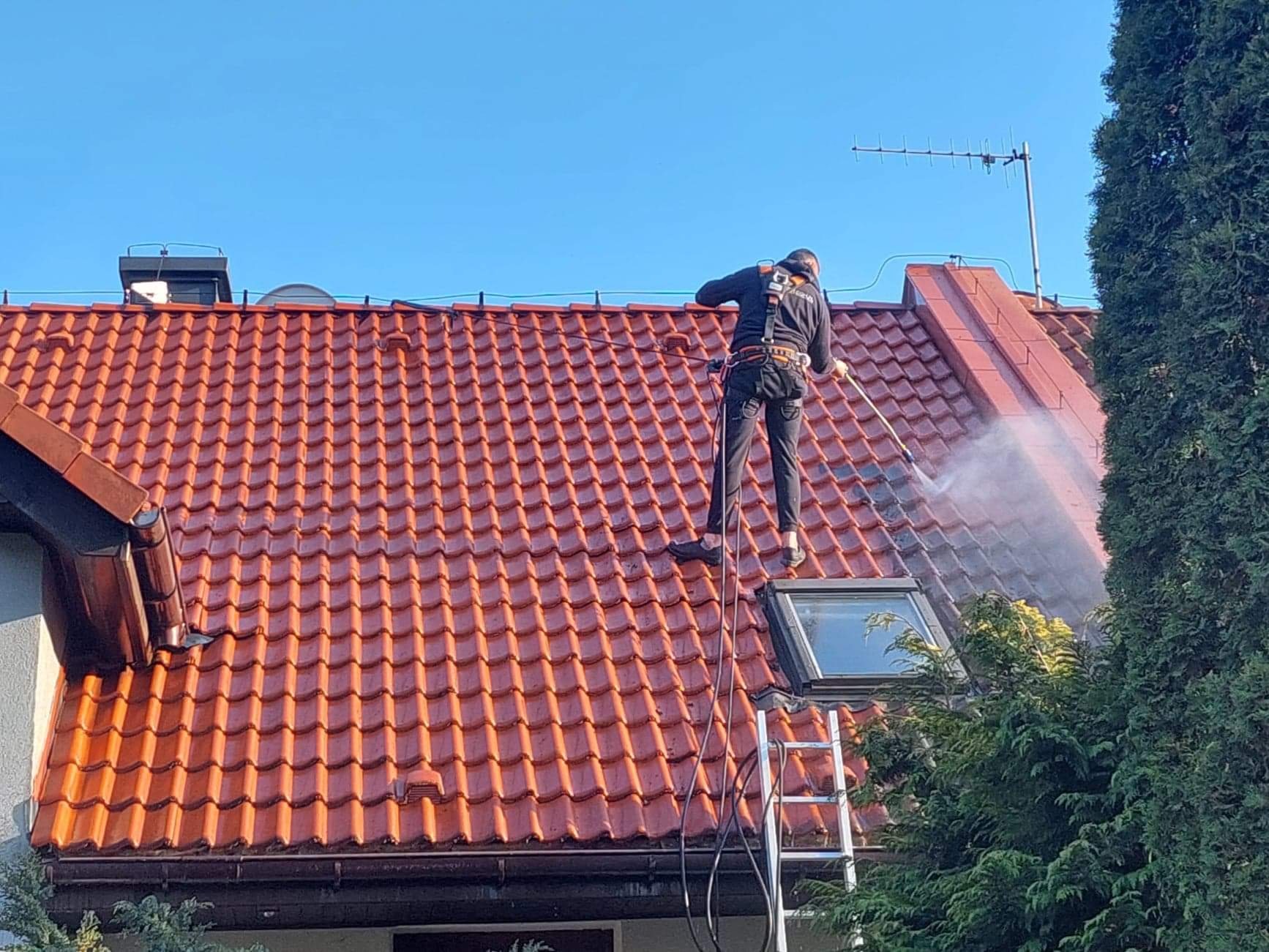 Pracownik w uprzęży, stojąc na czerwonej dachówce, czyści dach za pomocą myjki ciśnieniowej, obok okno dachowe i drabina, w tle błękitne niebo i wysoki iglak.