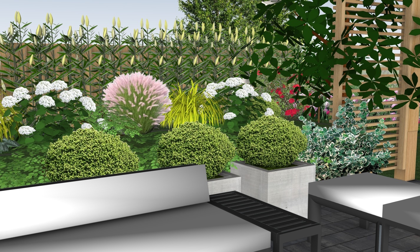 Wizualizacja ogrodu z kulistymi krzewami w betonowych donicach, białymi hortensjami, różową trawą pampasową i drewnianą pergolą w tle.