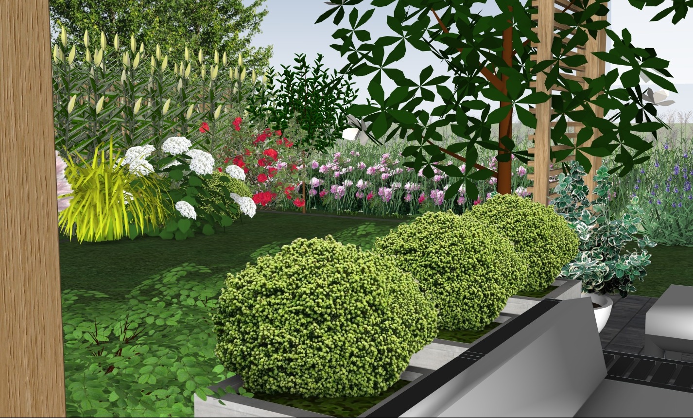 Wizualizacja ogrodu z kulistymi krzewami w betonowych donicach, drewnianą pergolą i różnorodnymi kwiatami w tle, w tym białymi hortensjami i czerwonymi różami.