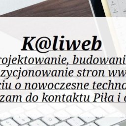 Kaliweb Patryk Kalisz - SEO Piła