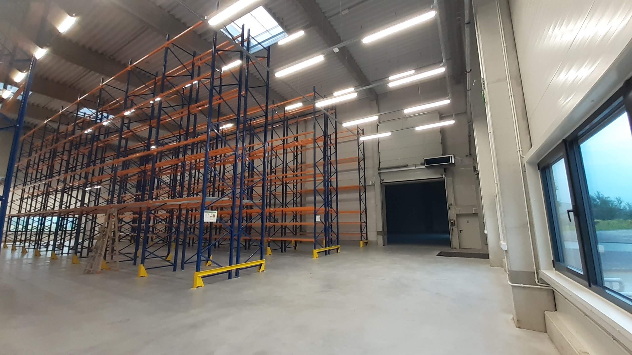 Wnętrze hali magazynowej z wysokimi regałami w kolorach niebieskim i pomarańczowym. Widoczne okna i oświetlenie sufitowe. Posadzka betonowa.