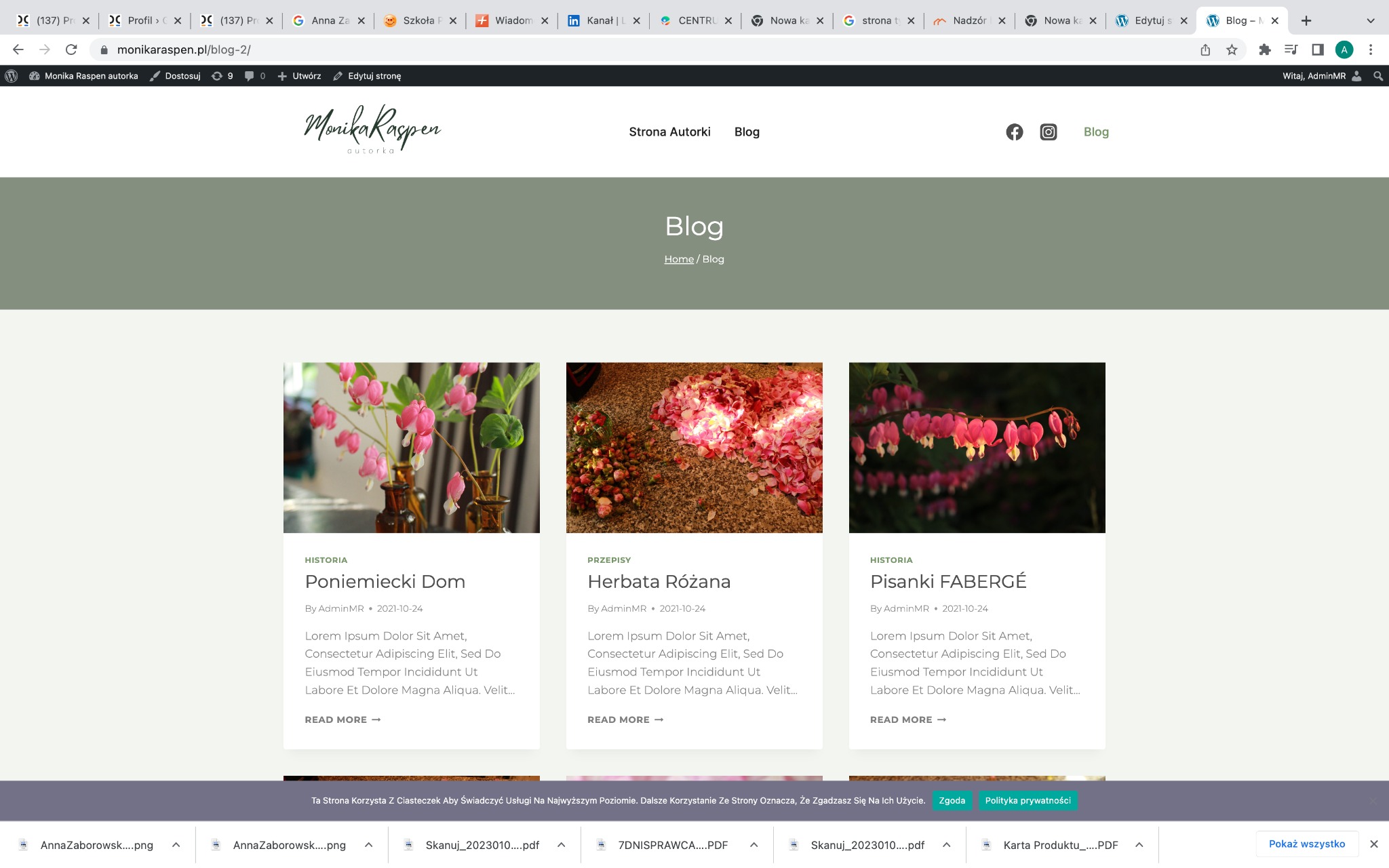 Widok strony internetowej z blogiem monikaraspen.pl, prezentującej wpisy z kategorii Historia i Przepisy, z minimalistycznym designem i czytelną typografią.