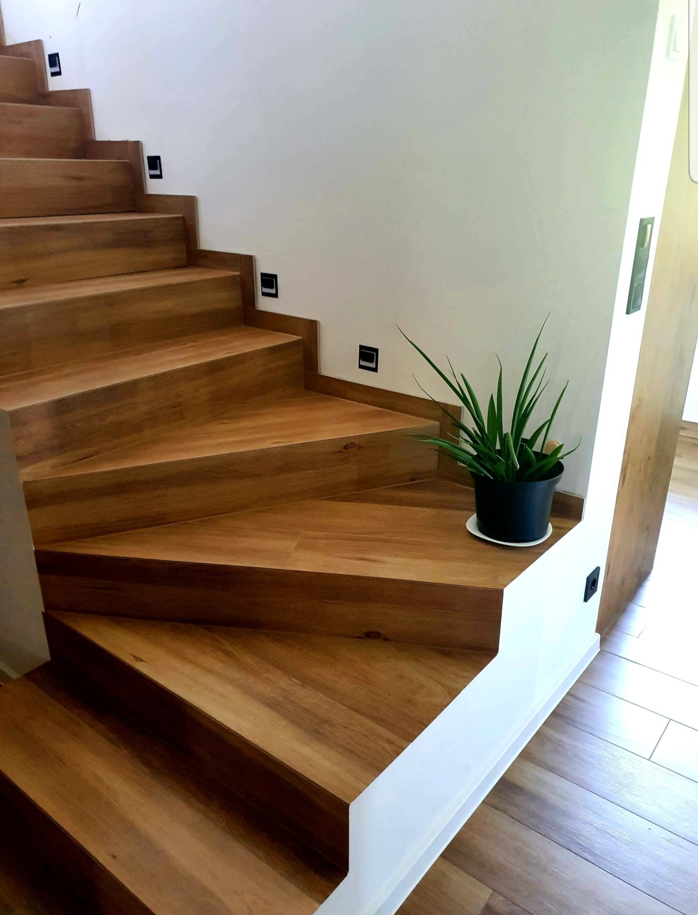Drewniane schody wyłożone płytkami imitującymi drewno, z podświetleniem punktowym w ścianie, z rośliną doniczkową na dolnym stopniu.