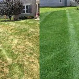 Sprzątanie mieszkań Kościerzyna 4