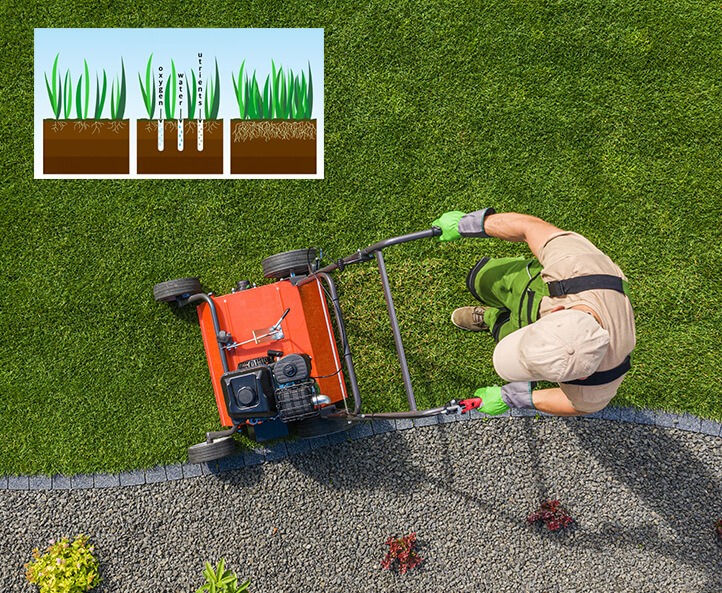 Aeracja trawnika z użyciem aeratora spalinowego, widok z góry. Grafika obok ilustruje proces dostarczania tlenu, wody i składników odżywczych do korzeni trawy.