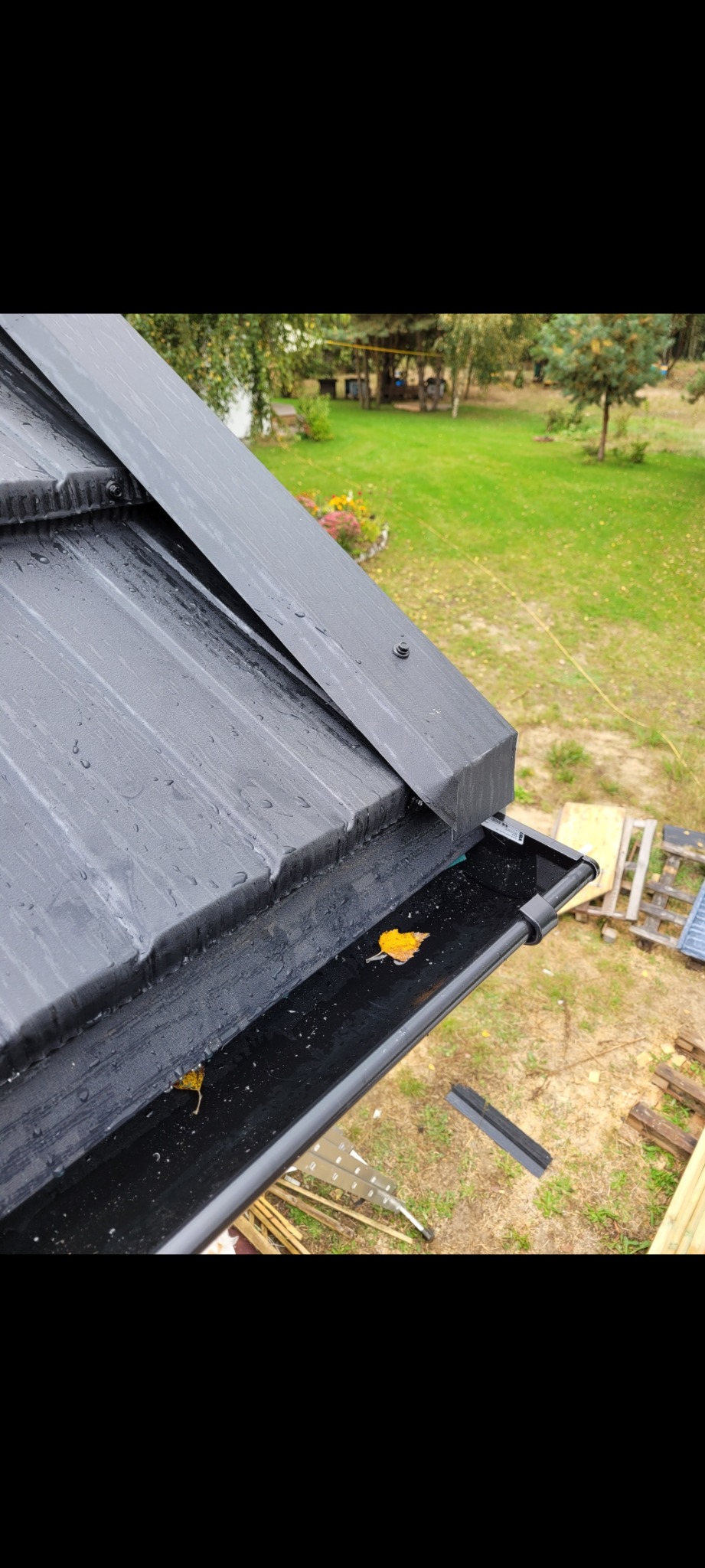 Fragment dachu z czarnej blachy z widoczną rynną, w której leżą opadłe liście. W tle widoczny ogród.