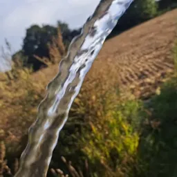 Strumień czystej wody wylatujący z niebieskiego węża na tle pola i drzew, widoczne zarośla w dolnej części kadru.