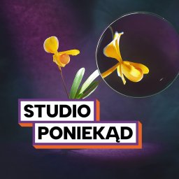 Studio poniekąd - Fotografia Reklamowa Kiełpin