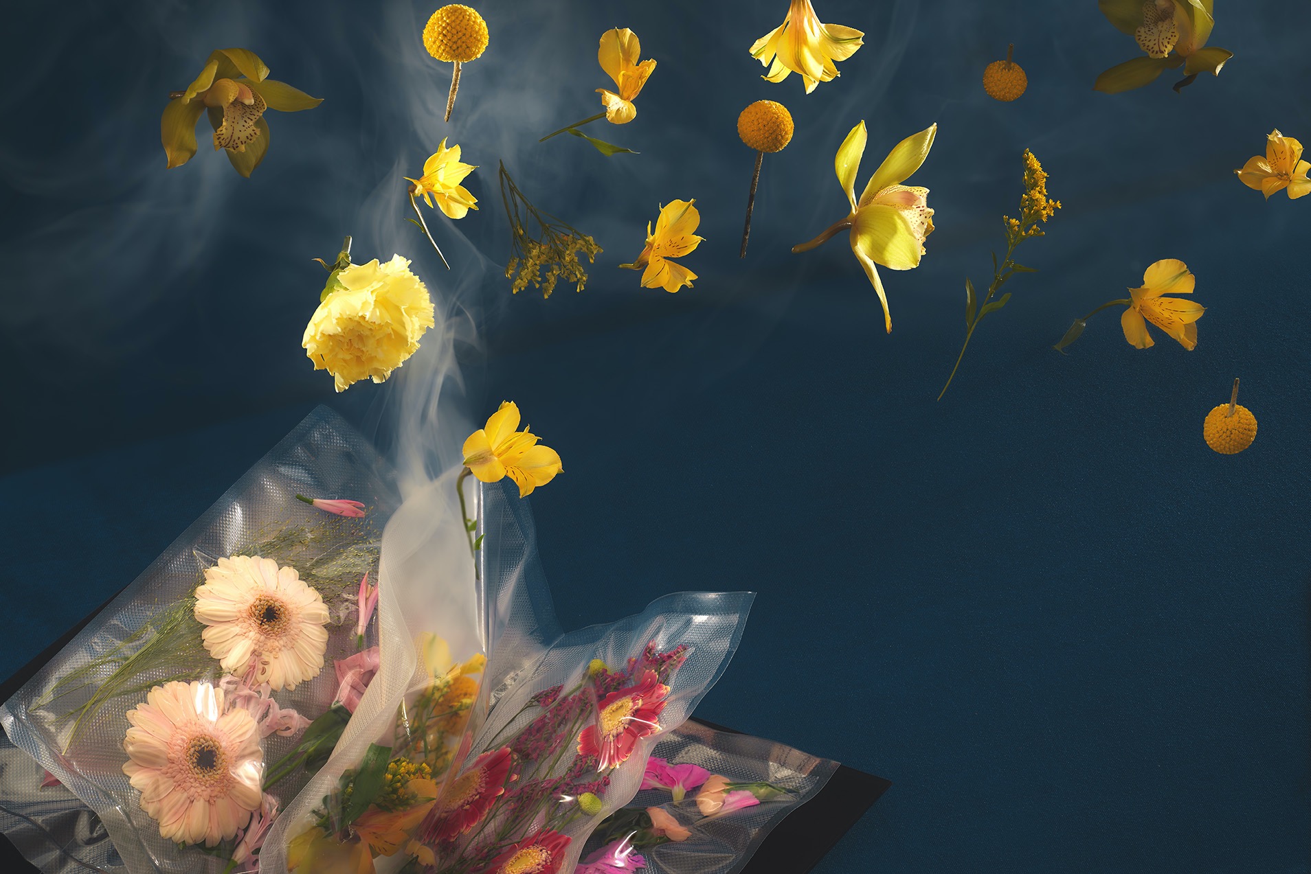 Kompozycja kwiatowa z gerberami w przezroczystych opakowaniach i unoszącymi się żółtymi kwiatami na ciemnoniebieskim tle z efektem dymu.