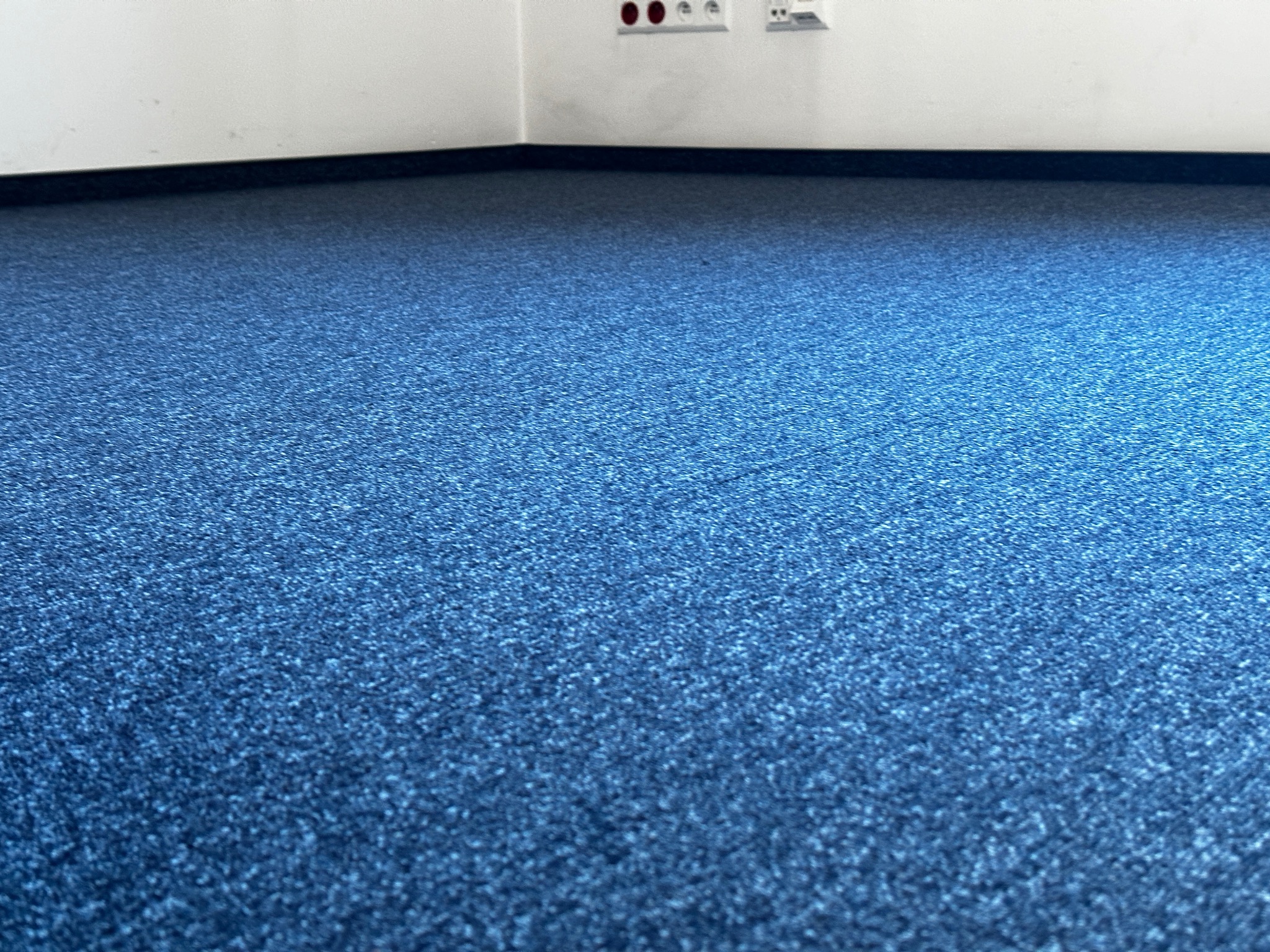 Niebieska wykładzina dywanowa w rogu pomieszczenia biurowego, widoczne gniazdka elektryczne i listwa przypodłogowa.