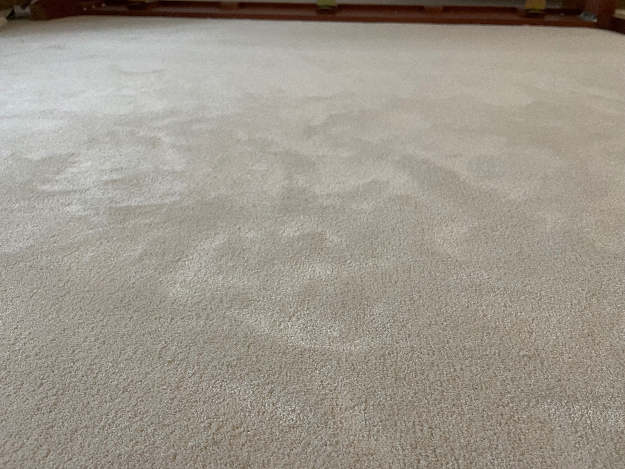 Beżowa, pluszowa wykładzina dywanowa z widoczną strukturą włókien, ułożona w pomieszczeniu z drewnianą listwą przypodłogową.