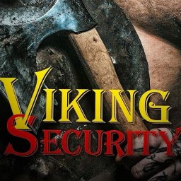 Viking Security Sp.zo.o. - Biuro Ochrony Sosnowiec