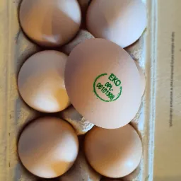 Otwarta wytłaczanka z dziesięcioma brązowymi jajami, jedno z zielonym stemplem EKO OPL-06101308, leżąca na drewnianym stole.