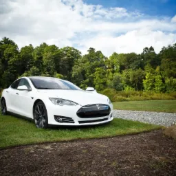 Biała Tesla Model S zaparkowana na trawniku przed lasem, widoczna z przodu, z niskiej perspektywy, z kamienistą ścieżką z boku.