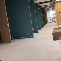 Lukasz Witek - Wnętrze biura w trakcie remontu: świeżo pomalowane na ciemnozielono ściany działowe, sufit podwieszany z widoczną instalacją, częściowo zamontowane drzwi, drabina w tle przy oknie.