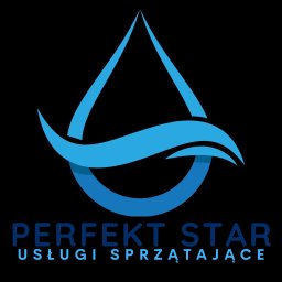 PERFEKT STAR GRZEGORZ STARBAŁA - Pranie Sofy Warszawa
