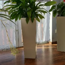 Trzy wysokie, białe donice z różnymi roślinami na drewnianej podłodze, w tle okno z białymi, pionowymi żaluzjami.