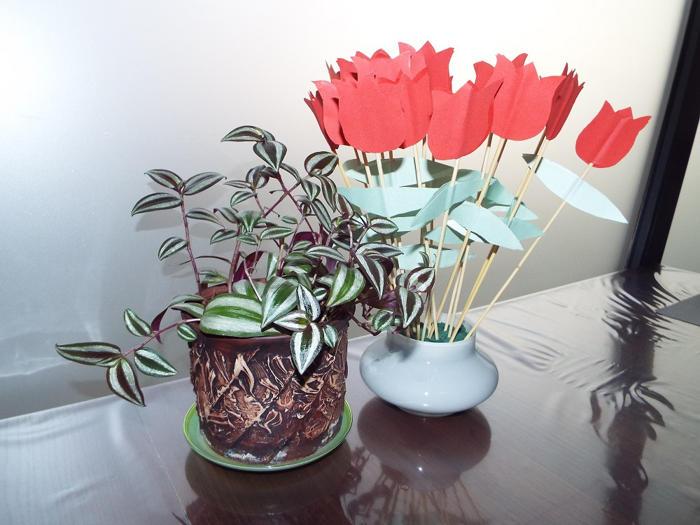 Dwie doniczki z roślinami na stole: jedna z żywą rośliną o pasiastych liściach w brązowej, zdobionej doniczce, druga z bukietem czerwonych tulipanów z papieru w białym wazonie.