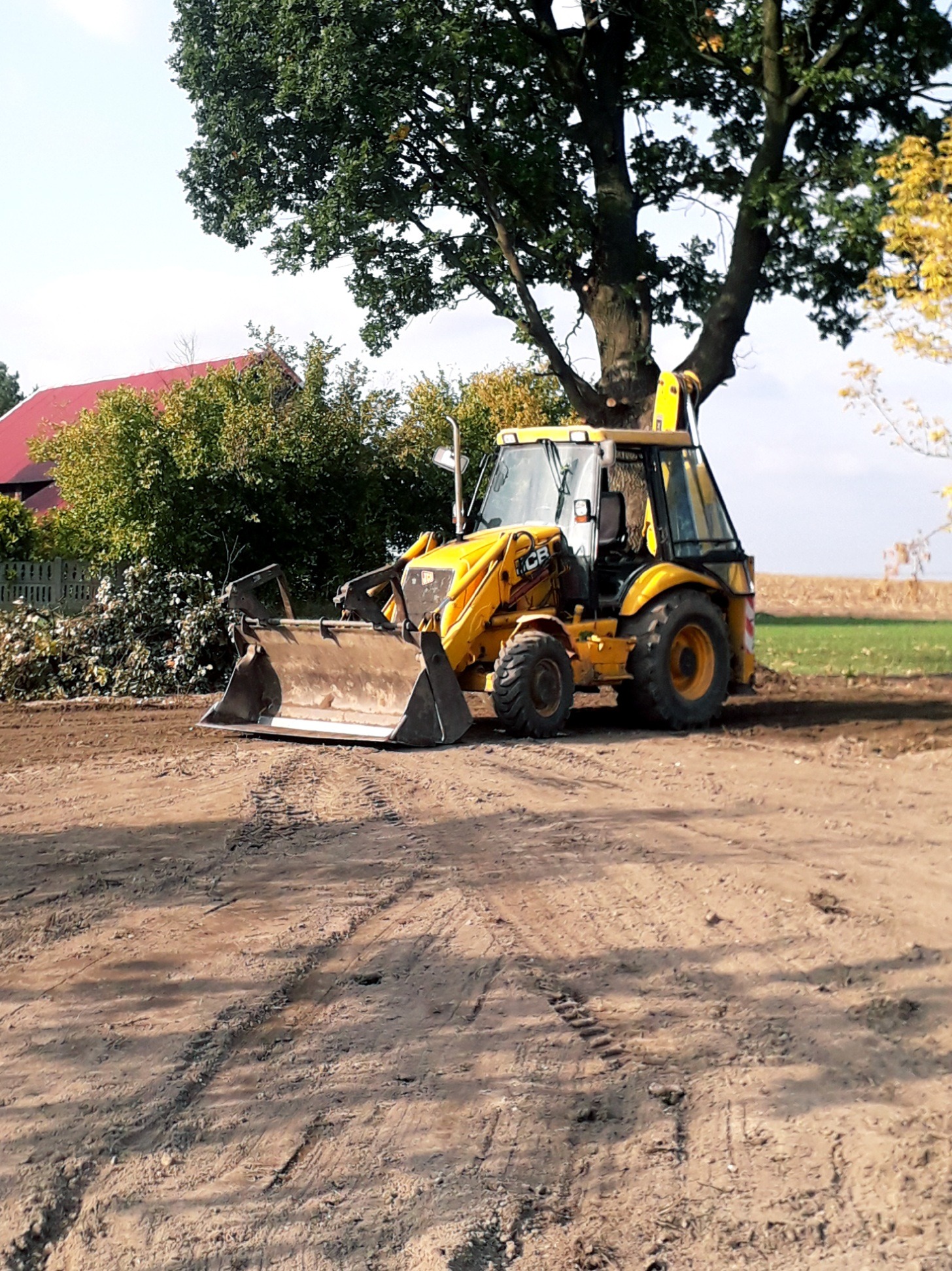 Żółta koparko-ładowarka JCB z przodu, na ubitej ziemi z widocznymi śladami opon, w tle drzewo, krzewy i budynek z czerwonym dachem.