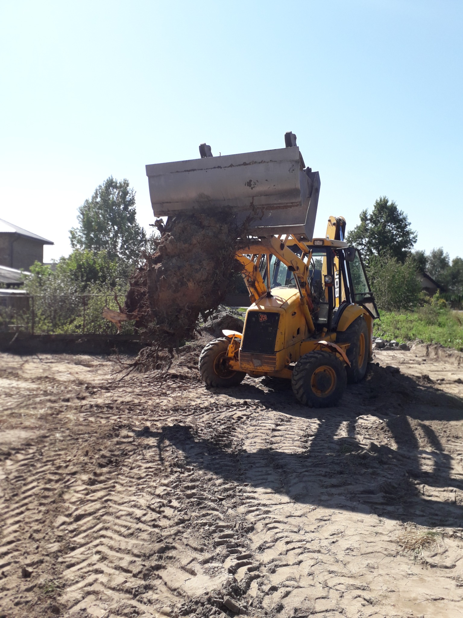 Żółta koparko-ładowarka JCB z pełną łyżką ziemi i korzeni w trakcie pracy na placu budowy, widoczne ślady opon na ziemi, w tle zieleń i budynek.