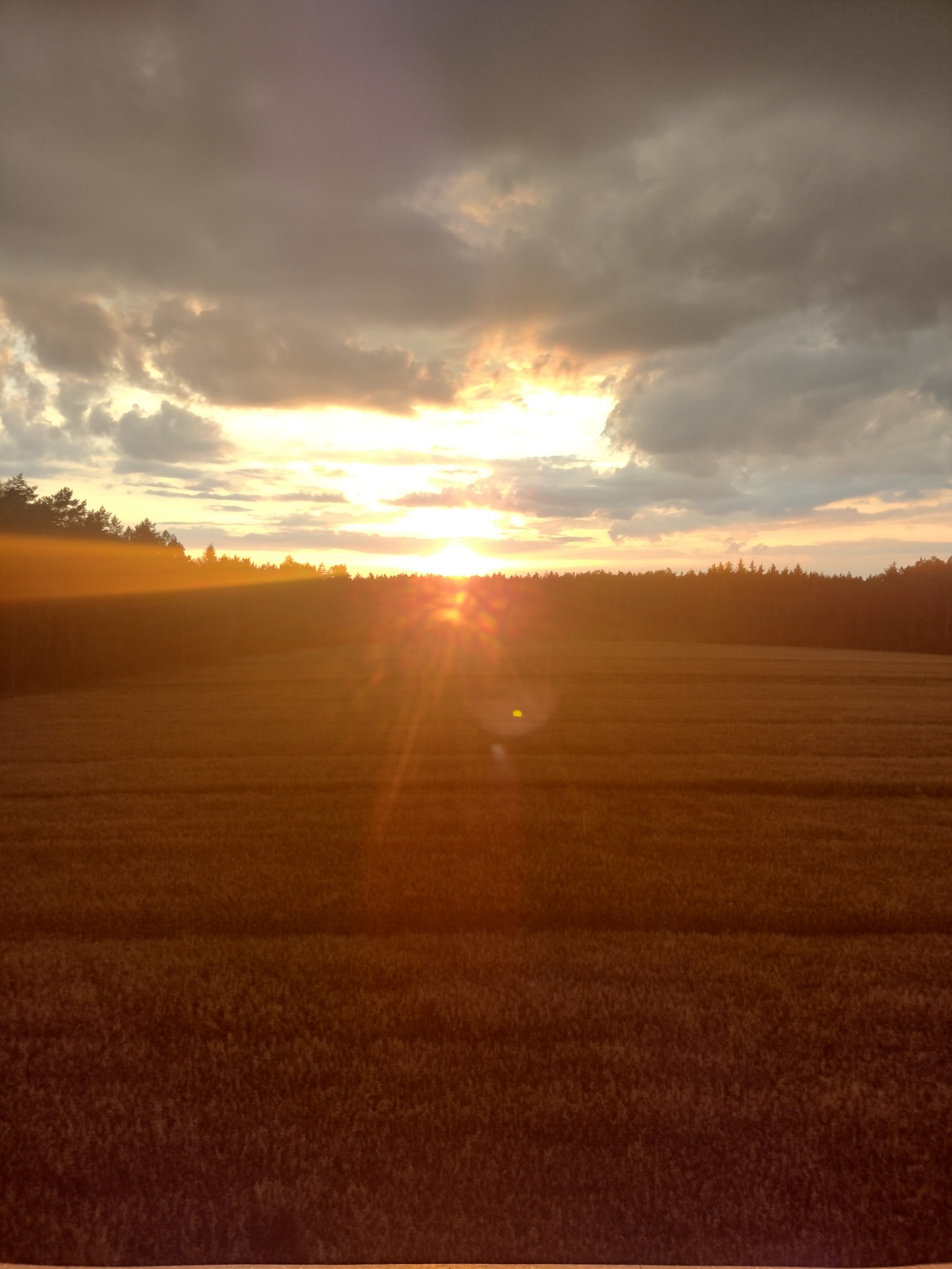 Krajobraz pola uprawnego w promieniach zachodzącego słońca, ciemne chmury na horyzoncie, widoczne drzewa w tle.