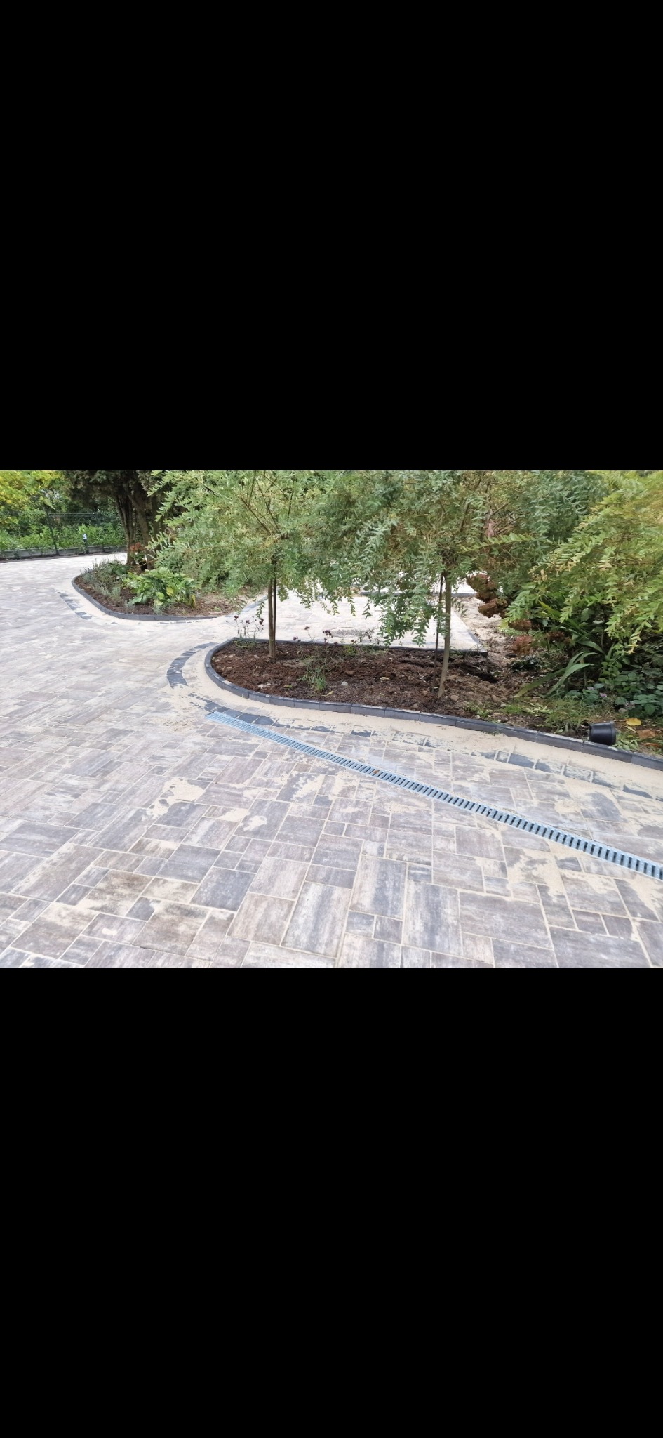 Ścieżka z kostki brukowej w ogrodzie, z odpływem liniowym i obrzeżami. Widoczne drzewa i roślinność. Kostka w odcieniach szarości, ułożona w regularny wzór.