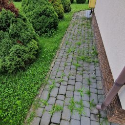 MT Mycie ciśnieniowe - Doskonałe Piaskowanie Elewacji Kraków