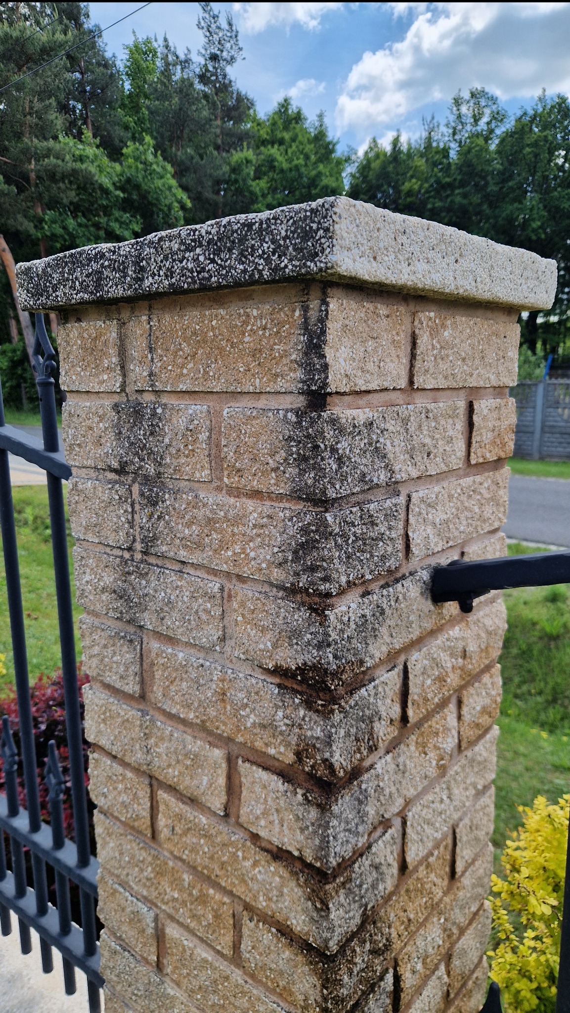 Zabrudzony filar ogrodzeniowy z cegły klinkierowej i betonowym daszkiem, z widocznymi śladami zabrudzeń i mchu. Fragment metalowego ogrodzenia w tle.