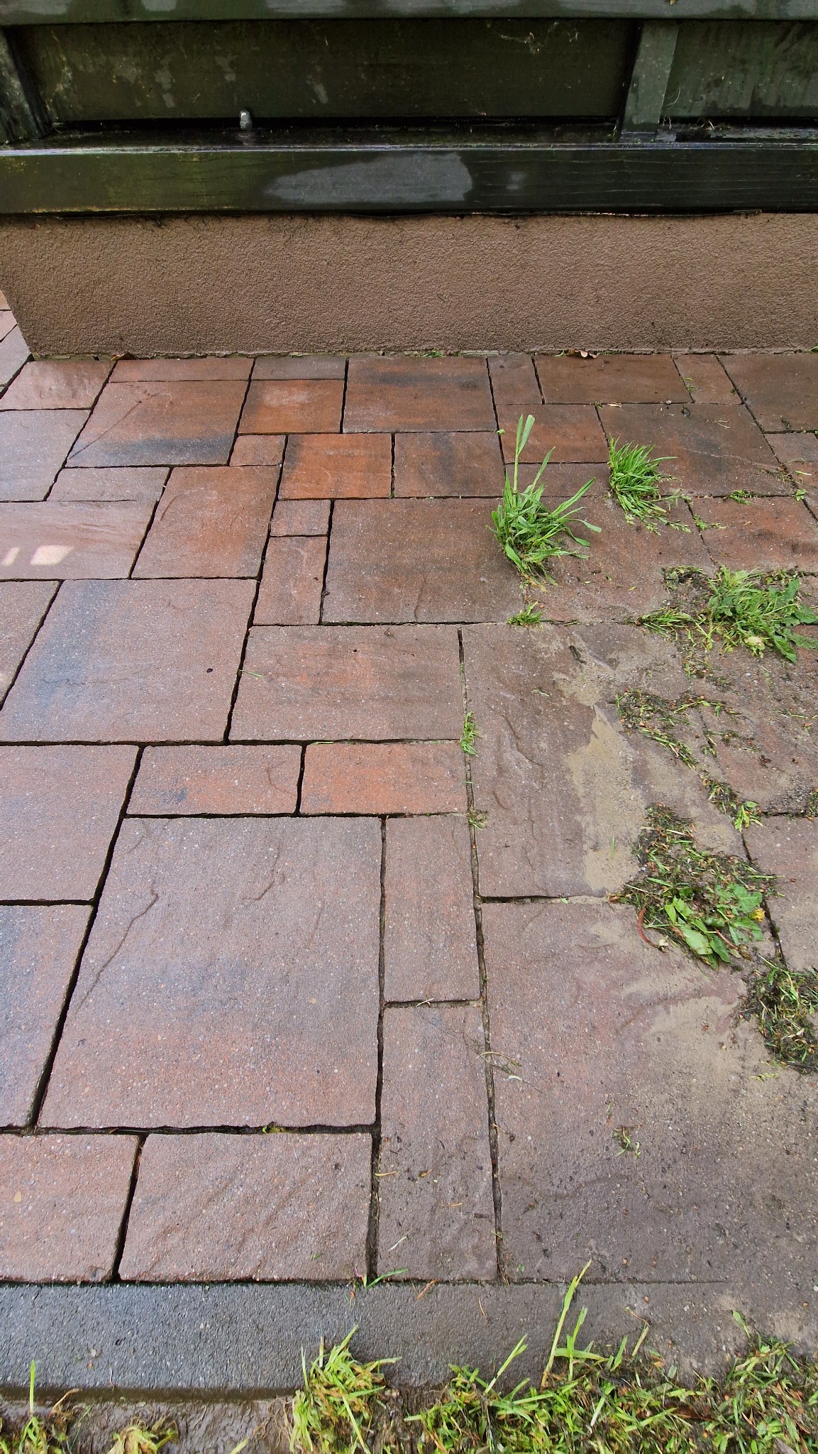 Czerwono-brązowa kostka brukowa z chwastami i zabrudzeniami. Fragment elewacji widoczny w tle. Widok z góry, lekko z ukosa.