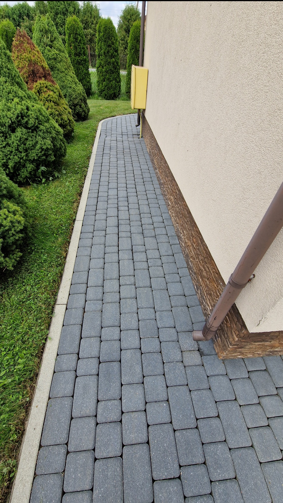 Szara kostka brukowa ułożona przy elewacji budynku z rurą spustową i zielonym trawnikiem z tujami w tle. Widok z góry, perspektywa wzdłuż kostki.