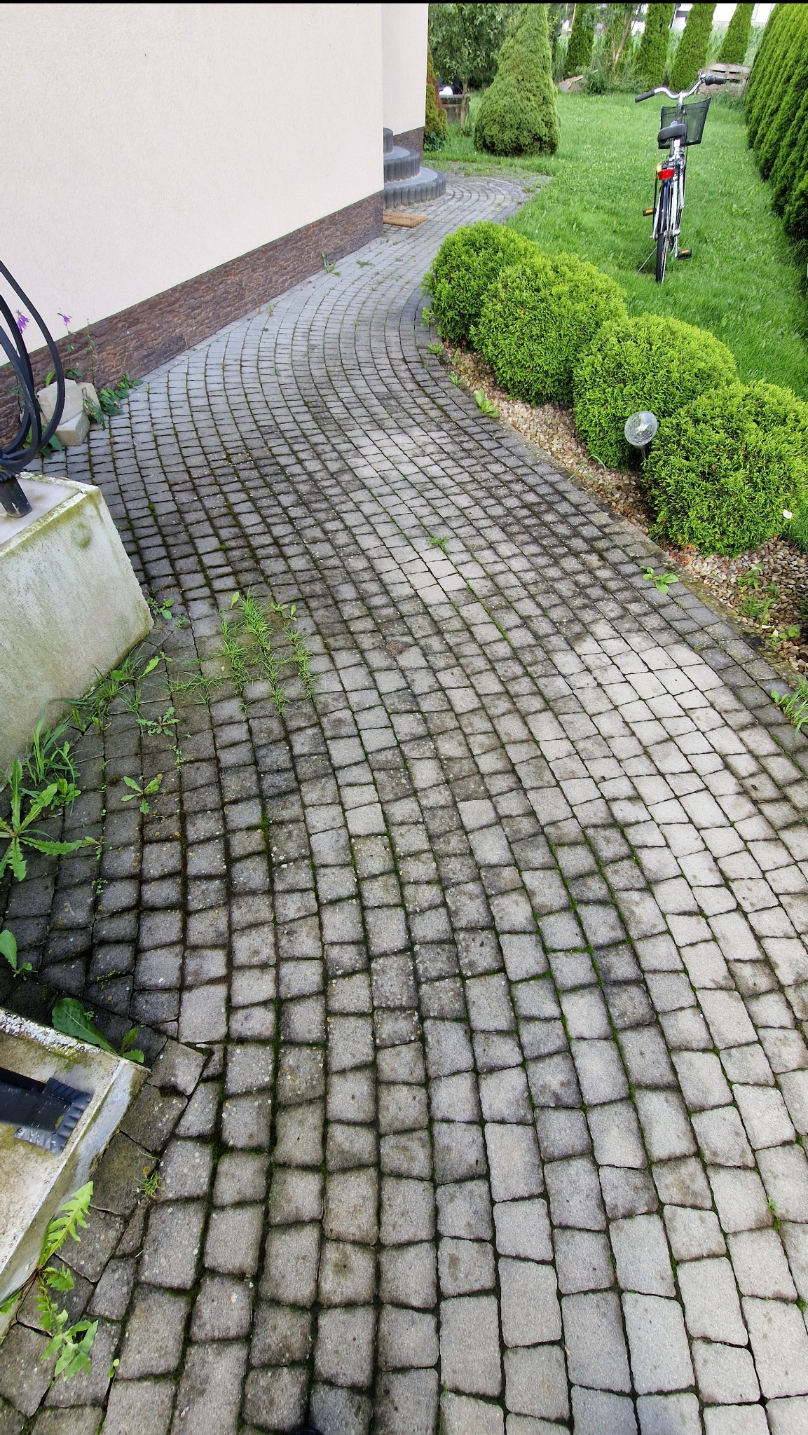 Zakrzywiona ścieżka z kostki brukowej przed domem, z widocznymi śladami zabrudzeń i mchu, prowadząca w kierunku trawnika z ozdobnymi krzewami i rowerem.