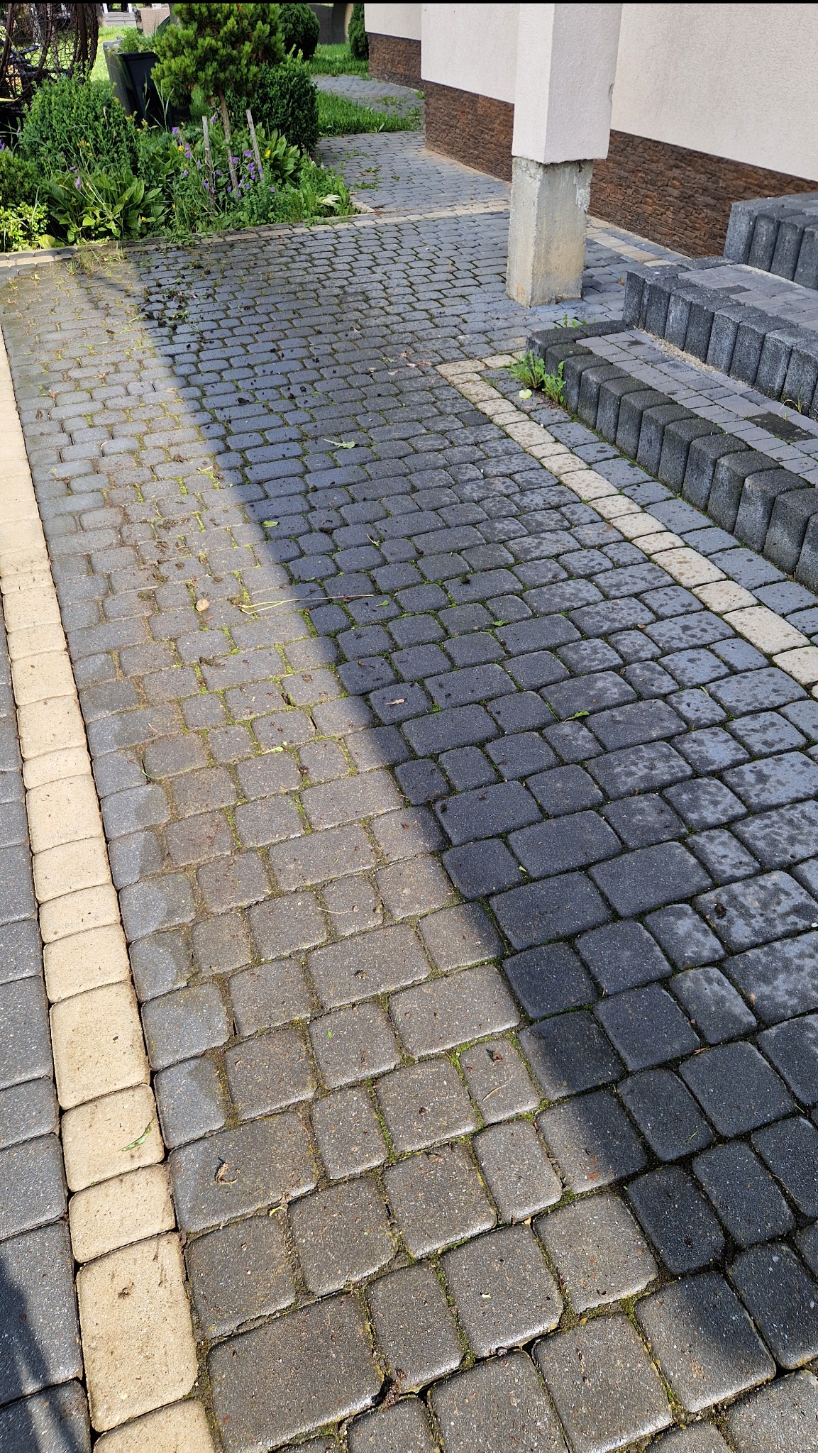 Kostka brukowa przed i po czyszczeniu, widoczna różnica w kolorze i czystości, zarośnięte spoiny częściowo usunięte, obok schody i roślinność.