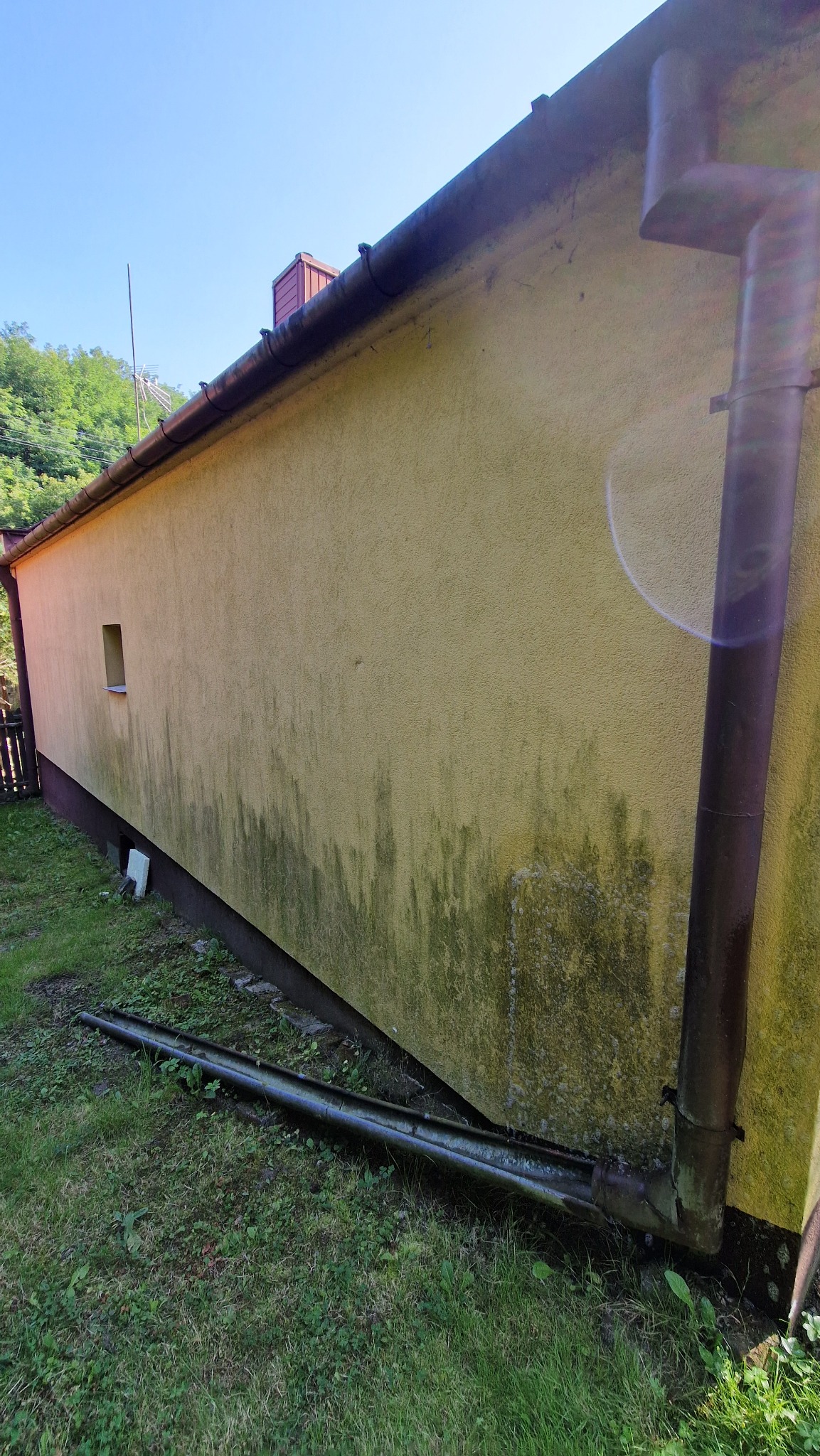 Zaniedbana, żółta elewacja budynku z widocznymi śladami zabrudzeń i zielonego nalotu, z brązową rynną i fragmentem trawnika u dołu.
